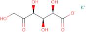 5-Keto-D-gluconic acid, potassium salt