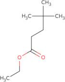 Ethyl 4,4-dimethylpentanoate