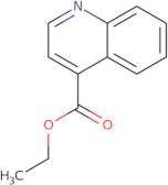 Ethyl quinoline-4-carboxylate