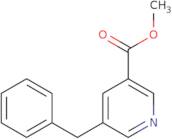 (2S,4S)-tert-Butyl 4-hydroxy-2-phenylpyrrolidine-1-carboxylate