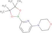 4-[6-(4,4,5,5-Tetramethyl-1,3,2-dioxaborolan-2-yl)pyridin-2-yl]morpholine