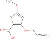 (R)-1,2,3,4-Tetrahydro-isoquinoline-1-carboxylic acid ethyl ester