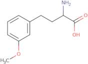 (S)-2-Amino-4-(3-methoxyphenyl)butanoic acid