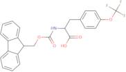 N-Fmoc-o-(trifluoromethyl)-L-tyrosine