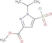 Methyl 5-(chlorosulfonyl)-1-isopropyl-1H-pyrazole-3-carboxylate