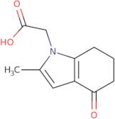 2-(2-Methyl-4-oxo-4,5,6,7-tetrahydro-1H-indol-1-yl)acetic acid