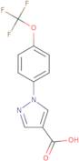 1-[4-(Trifluoromethoxy)phenyl]-1H-pyrazole-4-carboxylic acid