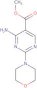 Methyl 4-amino-2-(morpholin-4-yl)pyrimidine-5-carboxylate