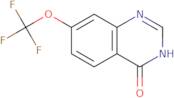 4-Hydroxy-7-(trifluoromethoxy)quinazoline