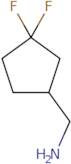(3,3-Difluorocyclopentyl)methanamine