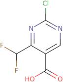 2-chloro-4-(difluoromethyl)pyrimidine-5-carboxylic acid