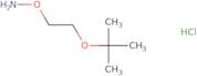 O-(2-tert-Butoxy-ethyl)-hydroxylamine hydrochloride