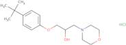 1-(4-tert-Butylphenoxy)-3-morpholin-4-ylpropan-2-ol hydrochloride