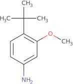 4-tert-Butyl-3-methoxyaniline