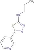 Propyl-(5-pyridin-3-yl-[1,3,4]thiadiazol-2-yl)-amine