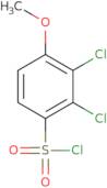 2,3-Dichloro-4-methoxybenzene-1-sulfonyl chloride