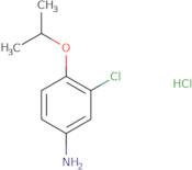 Aniline, 3-chloro-4-isopropoxy- (hydrochloride)