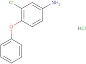 3-Chloro-4-phenoxyaniline hydrochloride