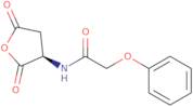 Benzyl (2,5-Dioxotetrahydrofuran-3-Yl)Carbamate