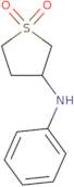 3-(Phenylamino)-1λ6-thiolane-1,1-dione