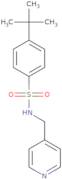 4-tert-Butyl-N-(pyridin-4-ylmethyl)benzenesulfonamide