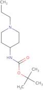 4-(N-Boc-amino)-1-propylpiperidine