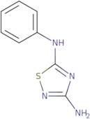 N5-Phenyl-1,2,4-thiadiazole-3,5-diamine