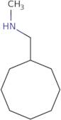 (Cyclooctylmethyl)(methyl)amine