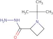 1-tert-Butylazetidine-2-carbohydrazide