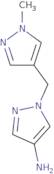 Ethyl-3-amino-2,5-dichlorobenzoate