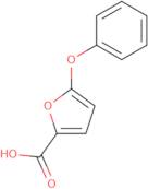 5-Phenoxyfuran-2-carboxylic acid