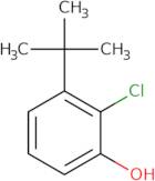 3-tert-Butyl-2-chlorophenol