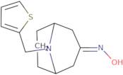 N-{9-[(Thiophen-2-yl)methyl]-9-azabicyclo[3.3.1]nonan-3-ylidene}hydroxylamine