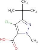 3-tert-Butyl-4-chloro-1-methyl-1H-pyrazole-5-carboxylic acid