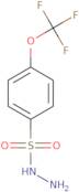 4-(Trifluoromethoxy)benzene-1-sulfonohydrazide