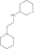 N-[2-(Piperidin-1-yl)ethyl]thian-3-amine