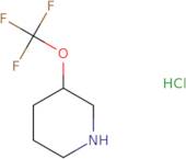 3-(Trifluoromethoxy)piperidine hydrochloride