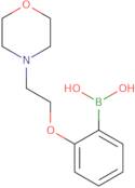 2-(2-Morpholinoethoxy)phenylboronic acid