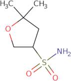 5,5-Dimethyloxolane-3-sulfonamide