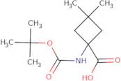 1-{[(tert-Butoxy)carbonyl]amino}-3,3-dimethylcyclobutane-1-carboxylic acid