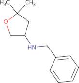 N-Benzyl-5,5-dimethyloxolan-3-amine