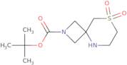 tert-Butyl 8,8-dioxo-8λ6-thia-2,5-diazaspiro[3.5]nonane-2-carboxylate