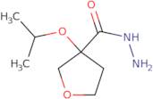 3-(Propan-2-yloxy)oxolane-3-carbohydrazide