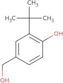 2-(tert-Butyl)-4-(hydroxymethyl)phenol