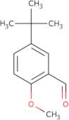 5-(tert-Butyl)-2-methoxybenzenecarbaldehyde