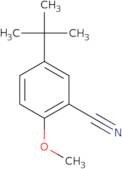 5-tert-Butyl-2-methoxybenzonitrile