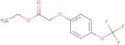 Ethyl 2-[4-(trifluoromethoxy)phenoxy]acetate