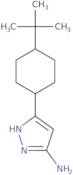 3-(4-tert-Butylcyclohexyl)-1H-pyrazol-5-amine