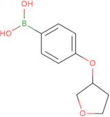 [4-(Oxolan-3-yloxy)phenyl]boronic acid