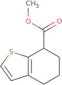 Methyl 4,5,6,7-tetrahydro-1-benzothiophene-7-carboxylate